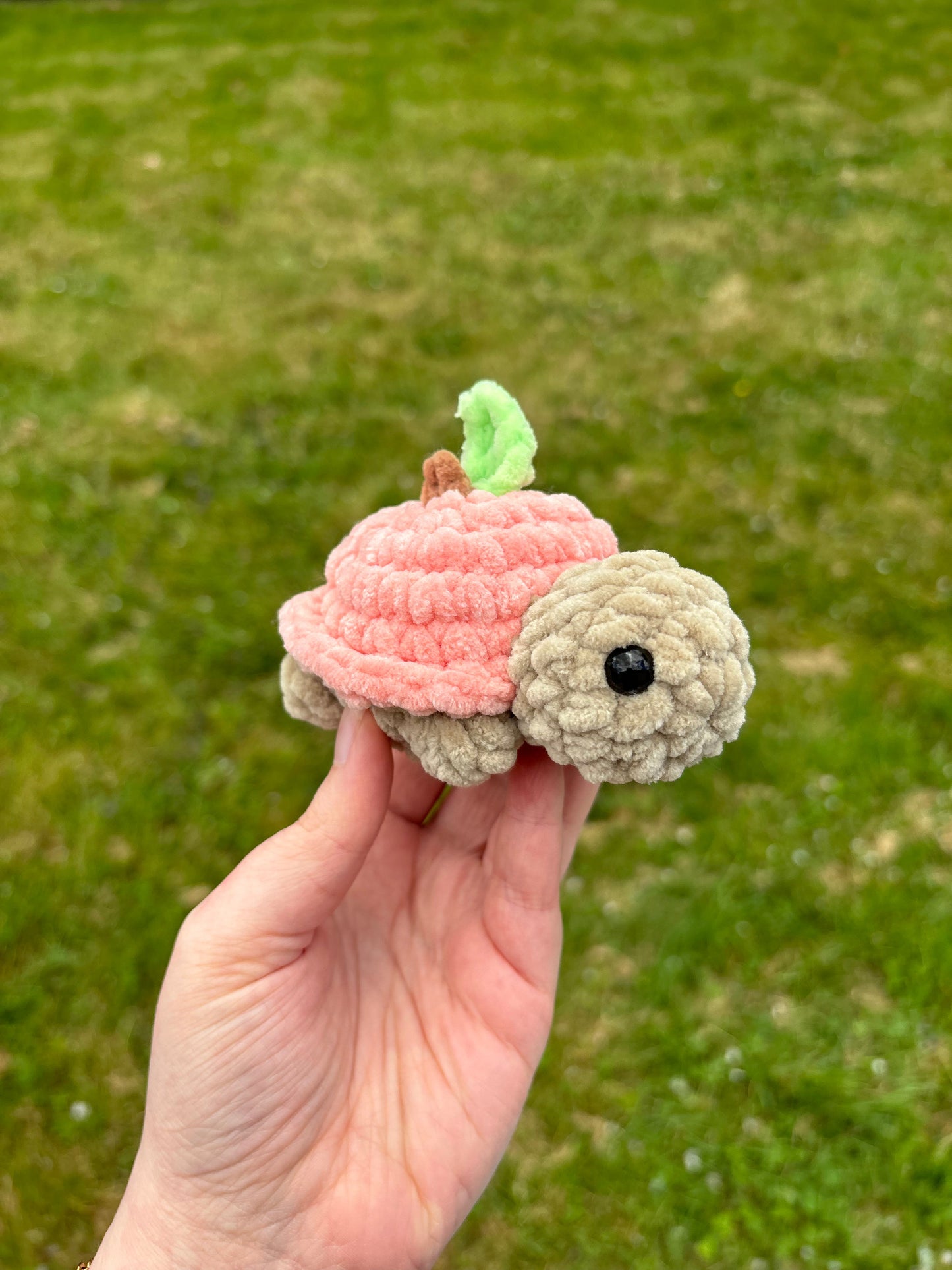 Patron 8 en 1 : tortues fruits