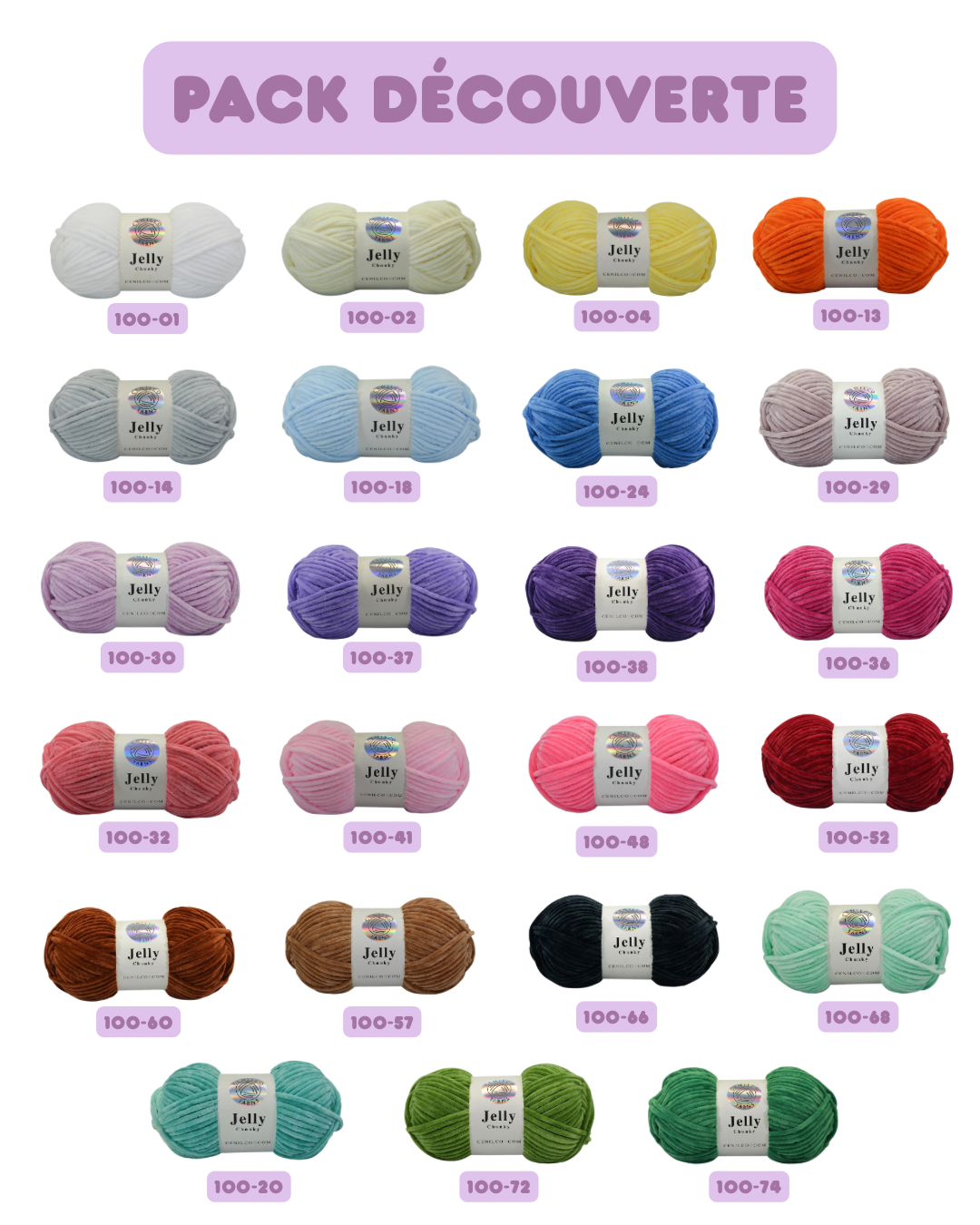 Pack découverte (23 pelotes) Jelly Chunky 🌈